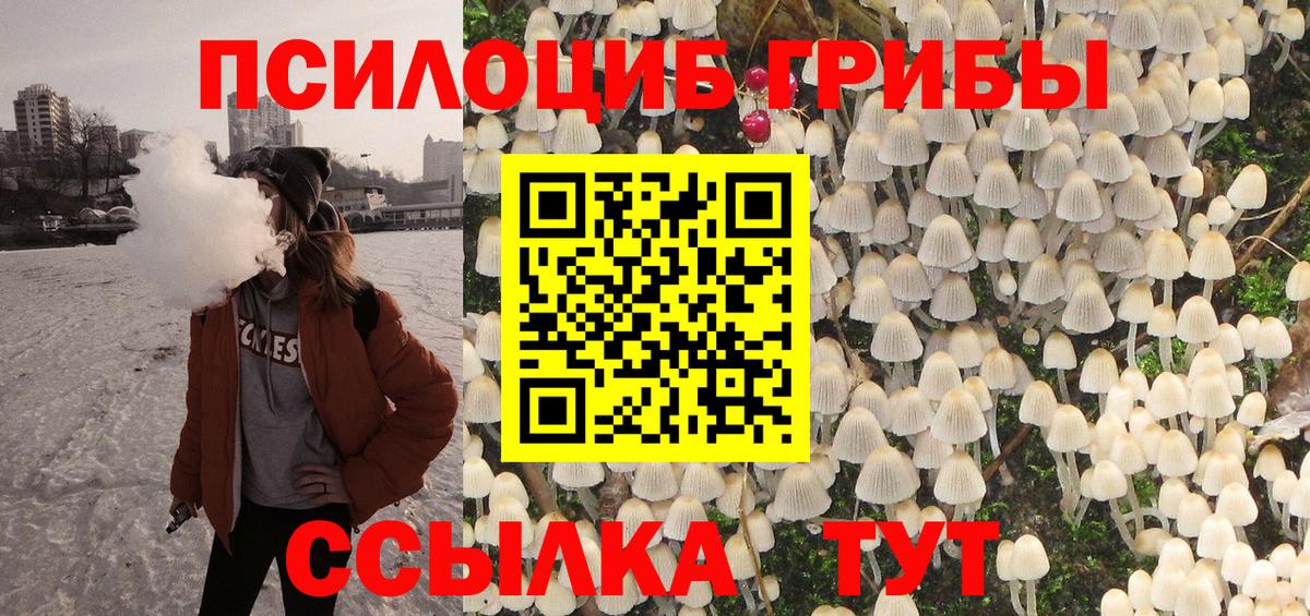 Псилоцибиновые грибы GOLDEN TEACHER Красногорск
