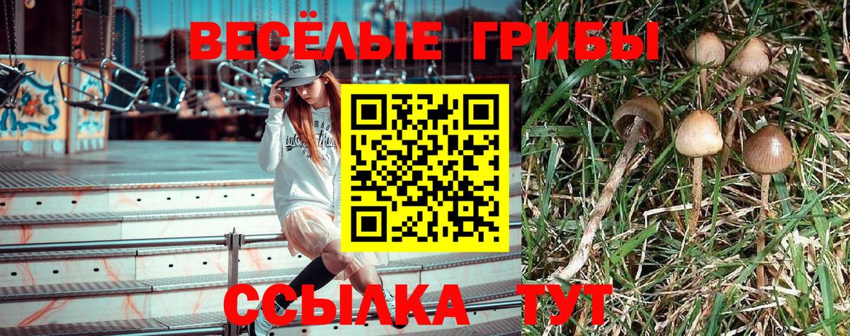 Красногорск  Псилоцибиновые грибы MAGIC MUSHROOMS  Псилоцибиновые грибы GOLDEN TEACHER  Вход с VPN 